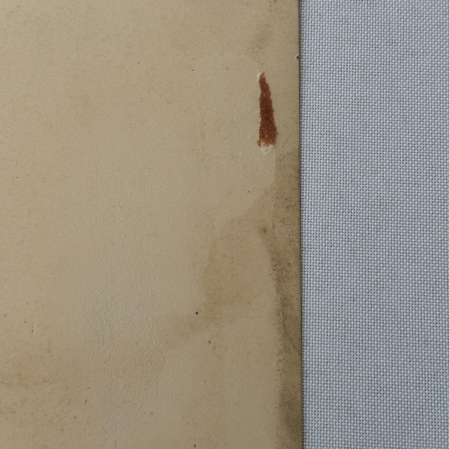 Vintage Circus Juggling Acrobat Act Nonna Bedini Tafani Photo Photograph