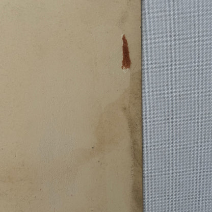 Vintage Circus Juggling Acrobat Act Nonna Bedini Tafani Photo Photograph