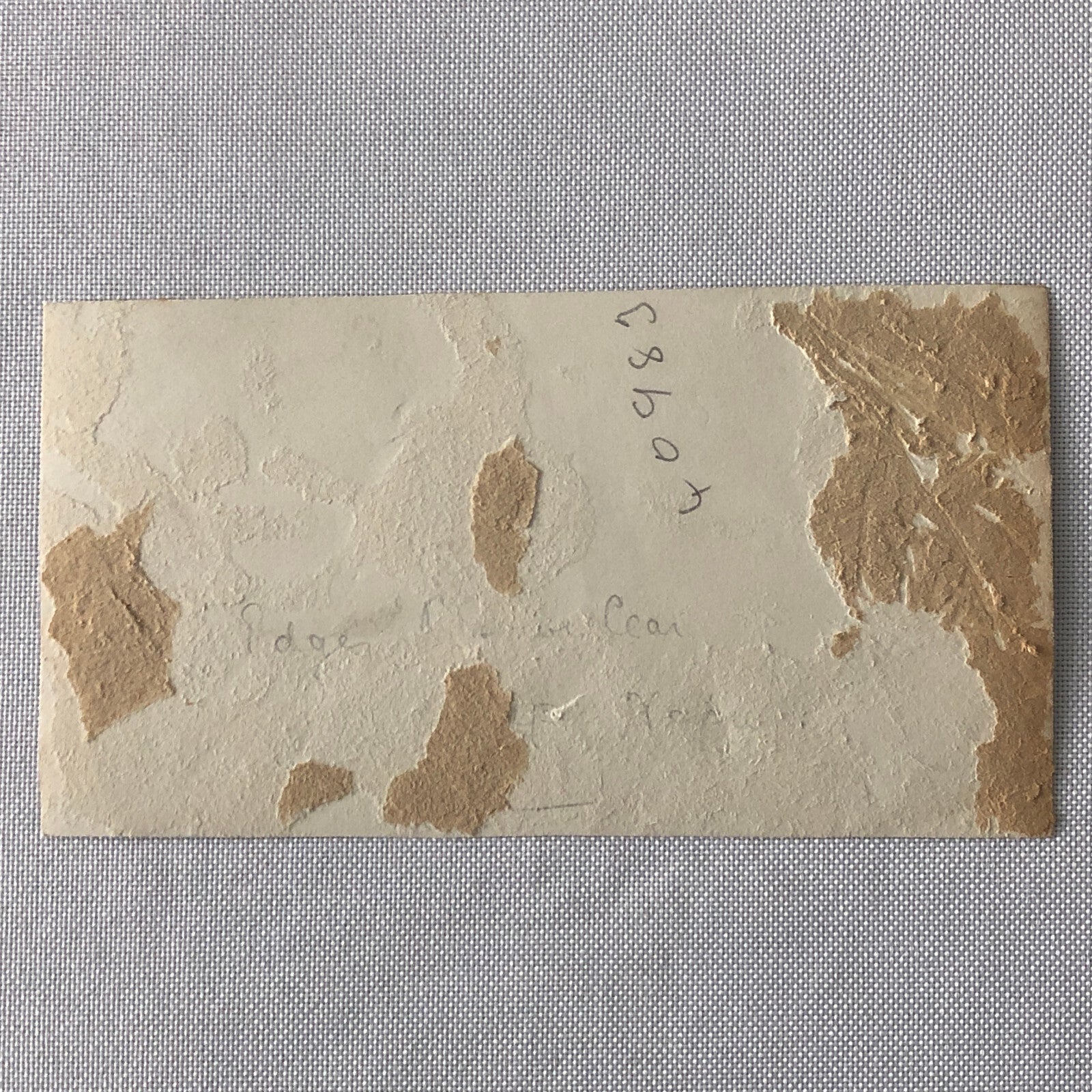 Vintage Racing Photo Photograph Print - Tag AL22E2