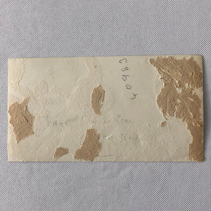 Vintage Racing Photo Photograph Print - Tag AL22E2