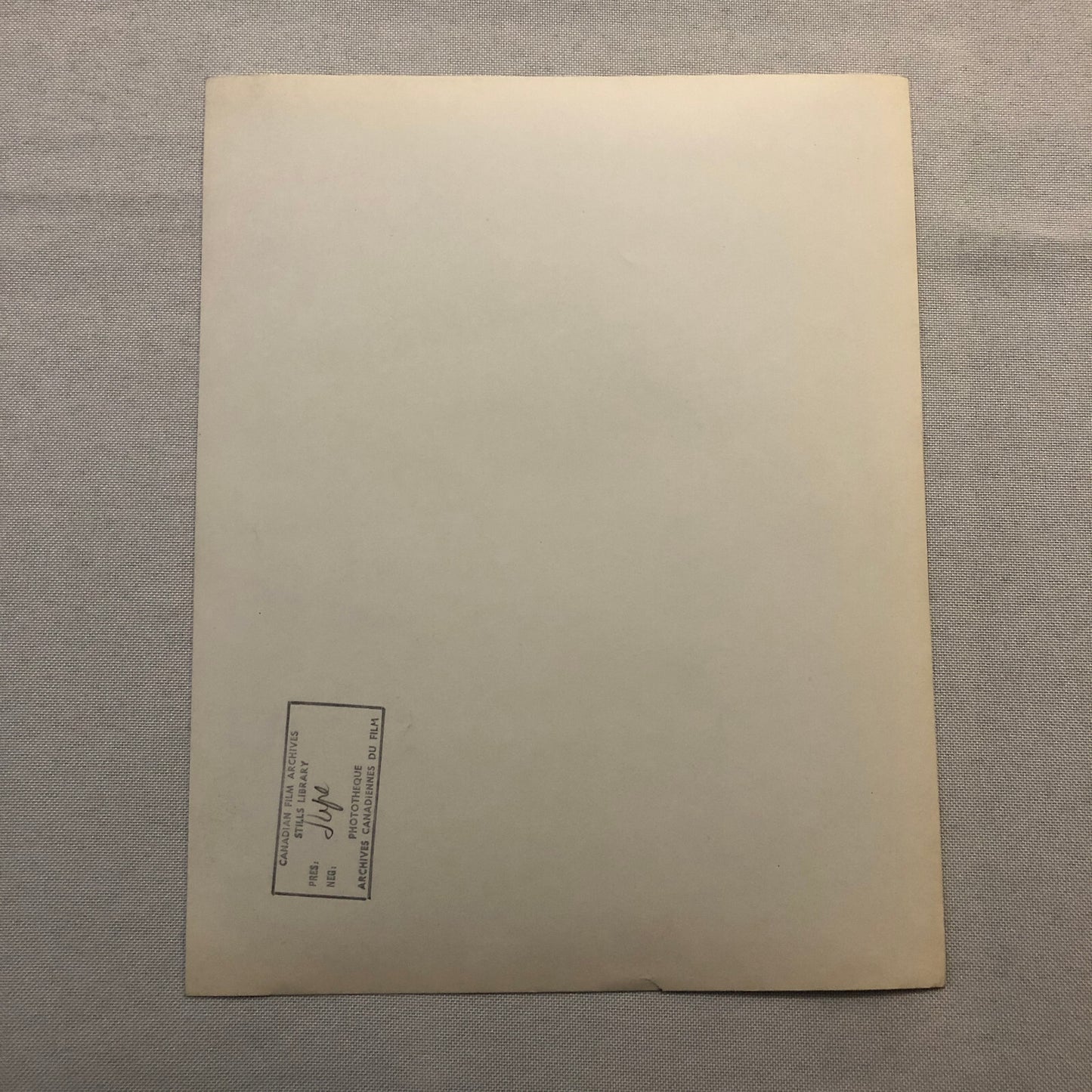 The Lawless Movie Film Photo Photograph MacDonald Carey Gail Russell 1950