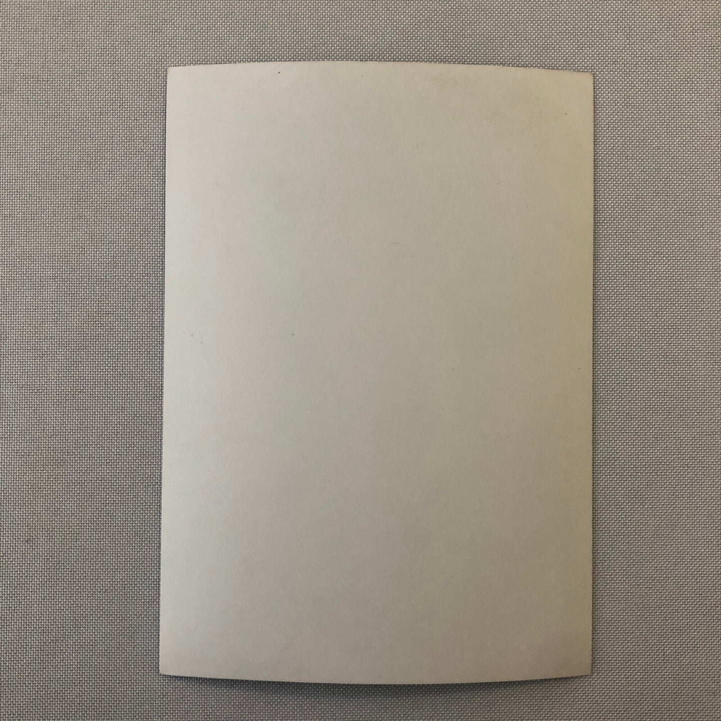 Ayrton Senna Racing Driver Photo Photograph