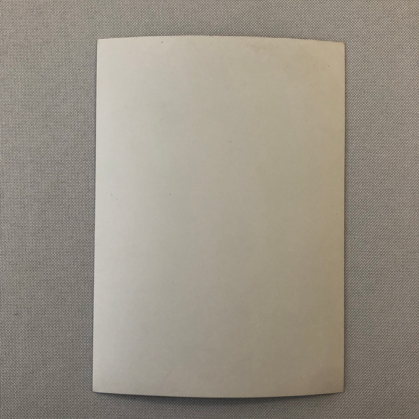 Ayrton Senna Racing Driver Photo Photograph