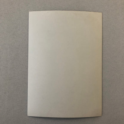 Ayrton Senna Racing Driver Photo Photograph