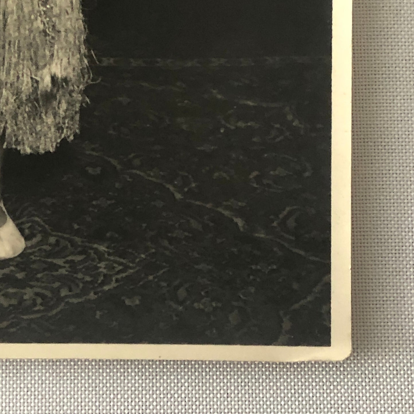 Vintage Circus Photo Acrobat Dancer Performer Berlin Germany Photograph
