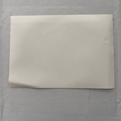 Porsche Racing Driver Photo Jan Lammers Richard Lloyd Jonathan Palmer Photograph