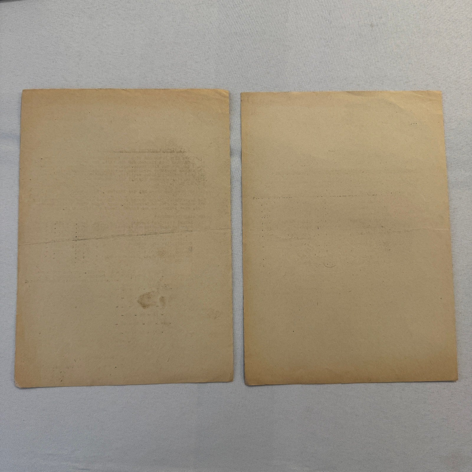 1951 AVD European Grand Prix at Nurburgring Racing Race Document Lot 2x