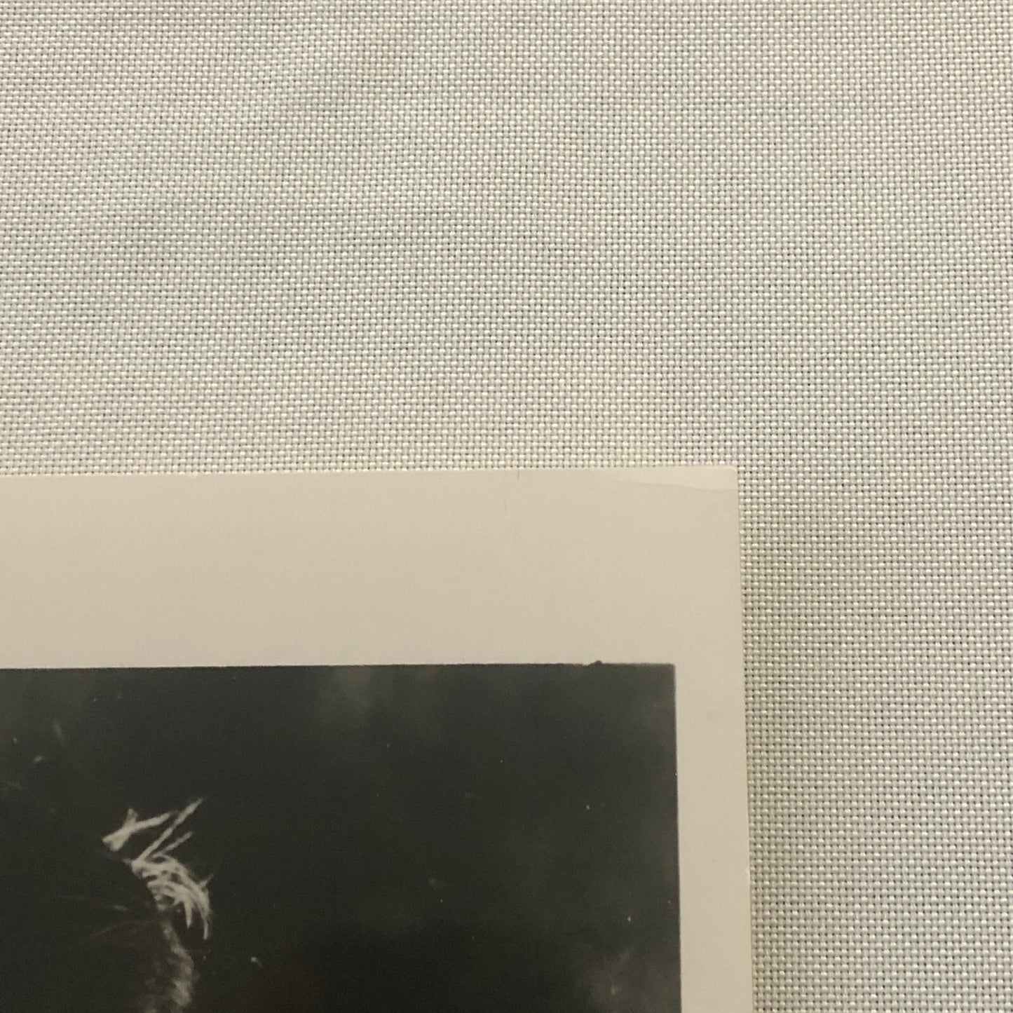 Young Boris Karloff Actor Movie Film Photo Photograph Print