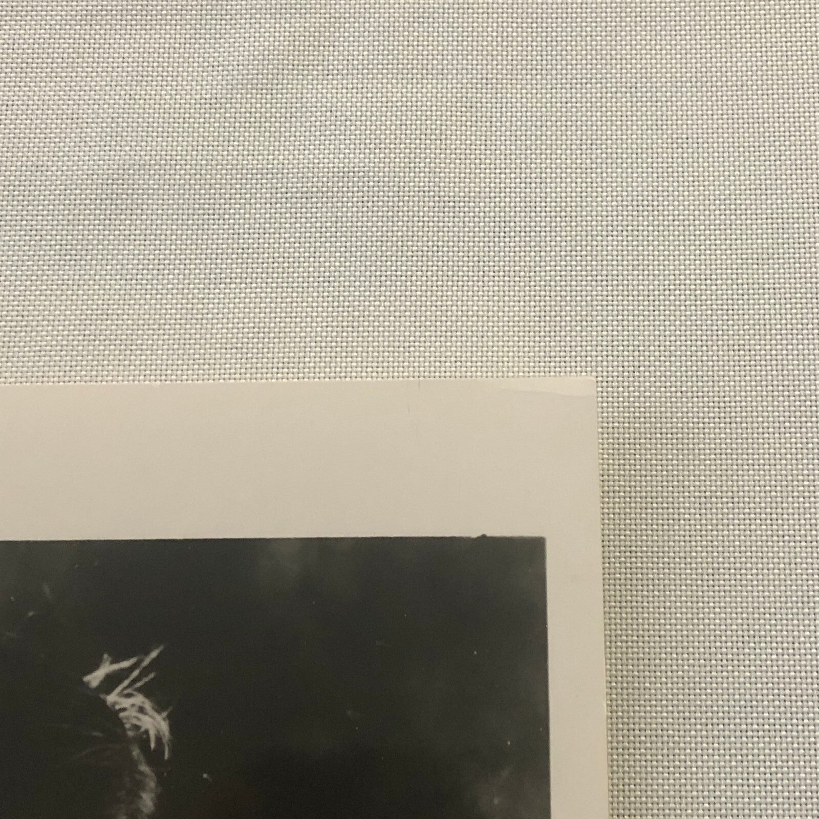 Young Boris Karloff Actor Movie Film Photo Photograph Print