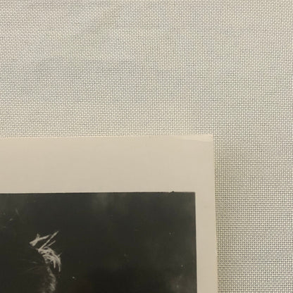 Young Boris Karloff Actor Movie Film Photo Photograph Print