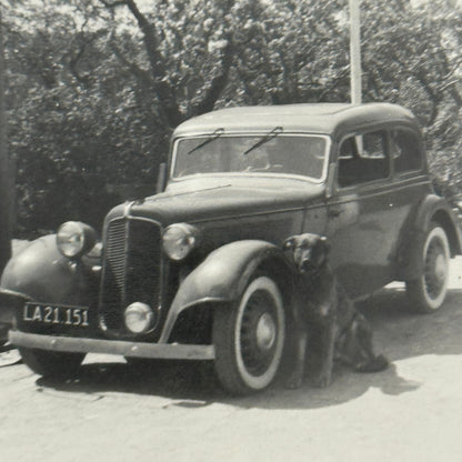 Dog with Antique Car Automobile Photo Photograph Lot of 2x Vintage