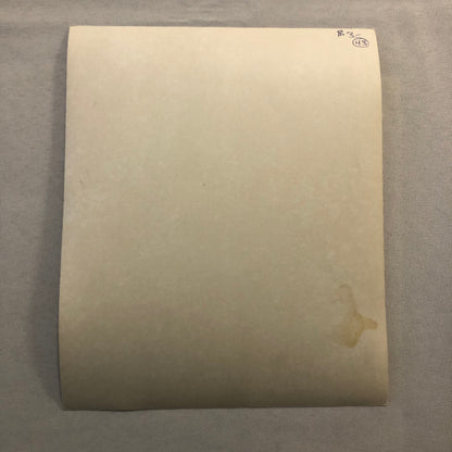 Xanadu Michael Beck Movie Film Photo Photograph Print 1980