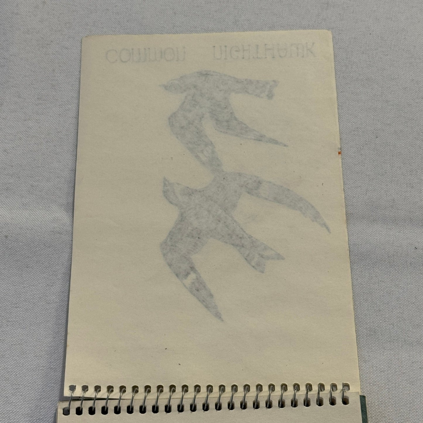 Vintage Bird Art Illustration Sketchbook Baltimore Oriole Grosbeak Nighthawk