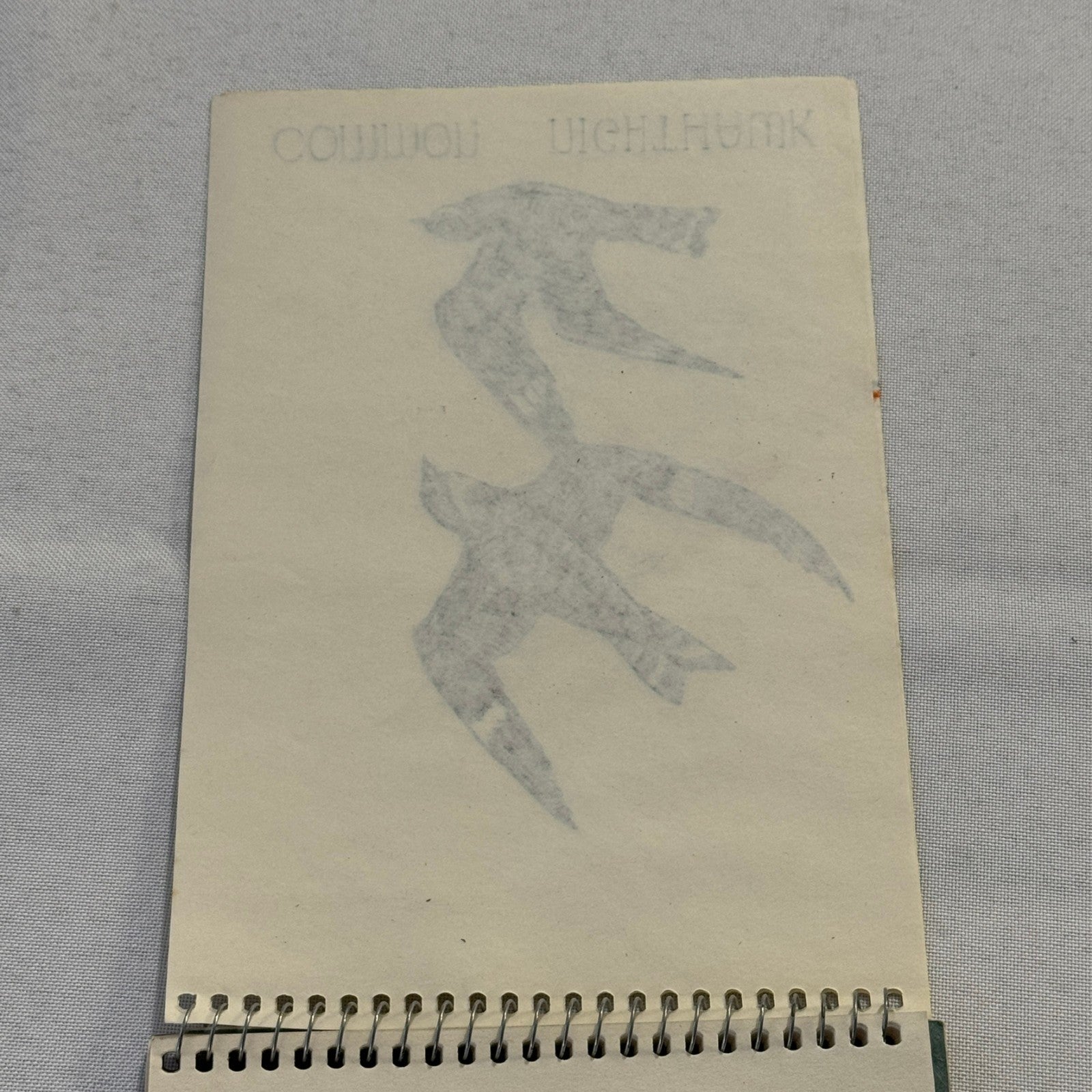 Vintage Bird Art Illustration Sketchbook Baltimore Oriole Grosbeak Nighthawk