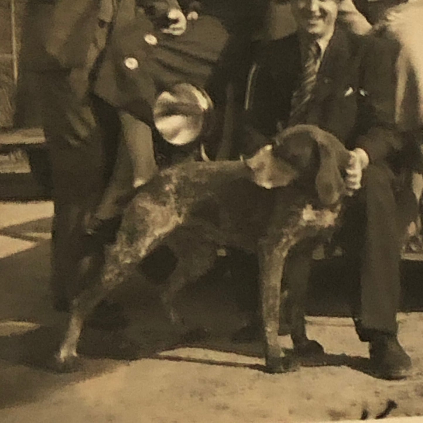 Vintage Photo Photograph People Dog Antique Car Automobile - Tag AL22SM2