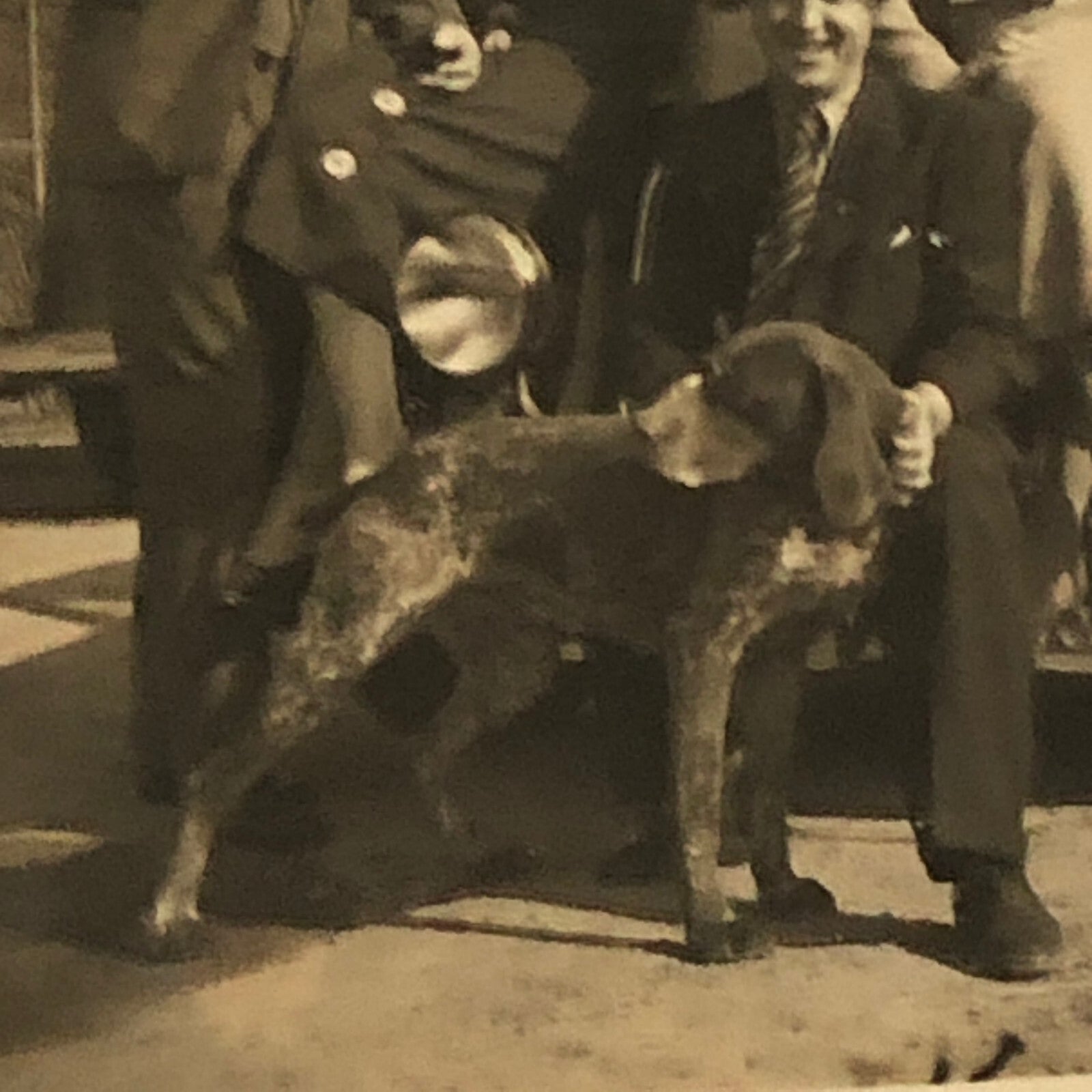 Vintage Photo Photograph People Dog Antique Car Automobile - Tag AL22SM2