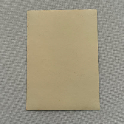 Vintage Circus Act Photo Photograph Acrobat Acrobatic Balancing Act 4 Morellys