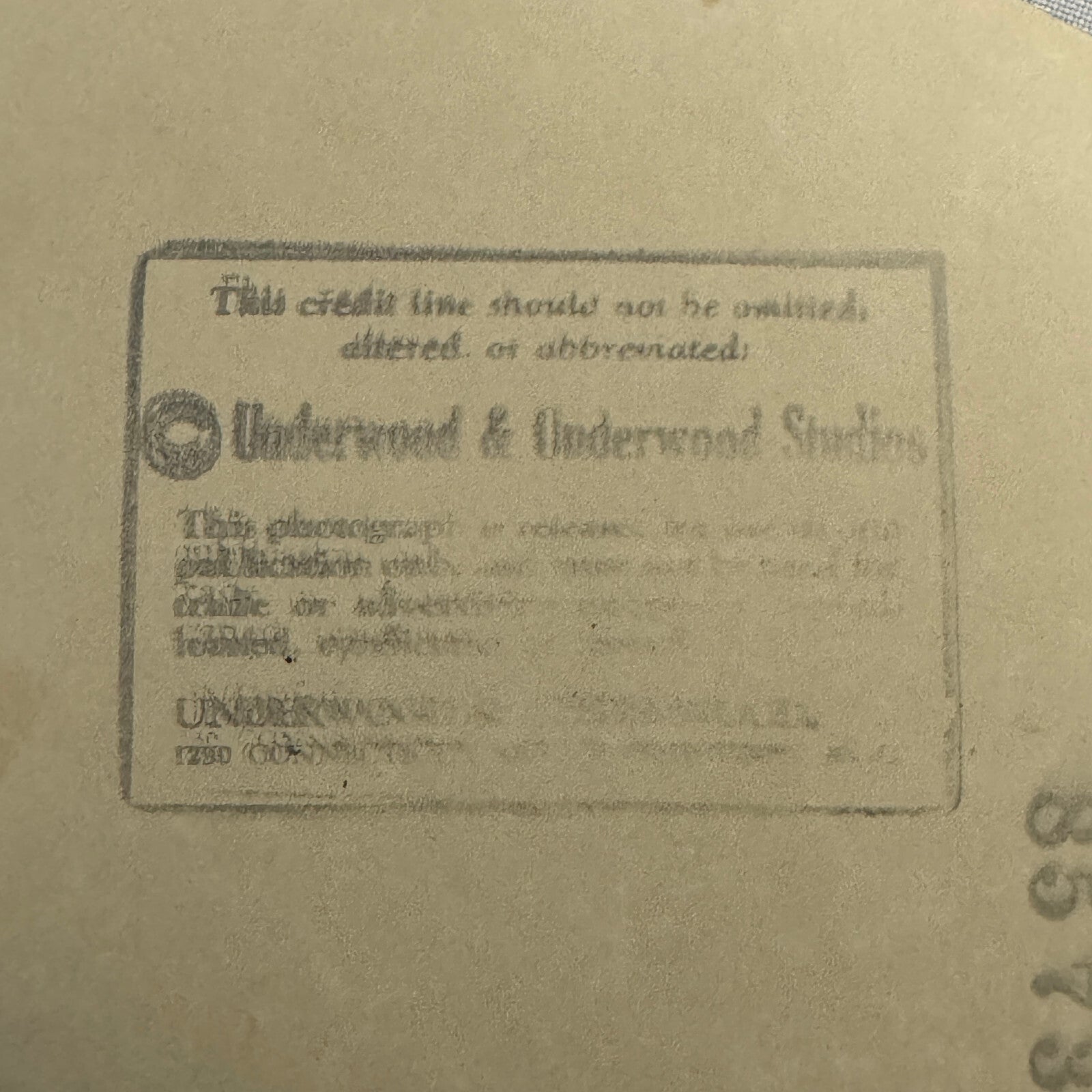 1934 Press Photo Photograph Wife of League of Nations Official with Dog