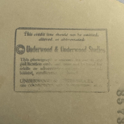 1934 Press Photo Photograph Wife of League of Nations Official with Dog