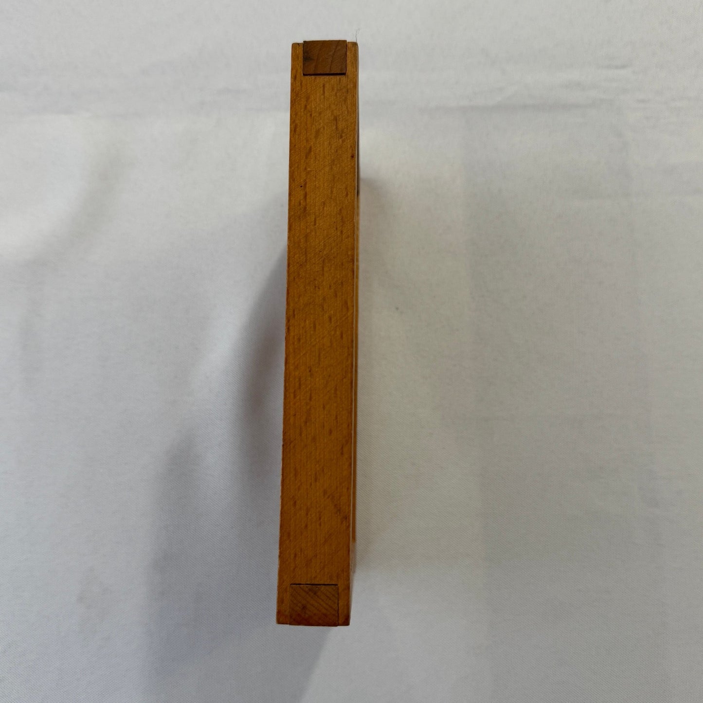 Vintage Eastman Photo Negative Printing Frame Photograph 3 1/4" by 8 1/2"