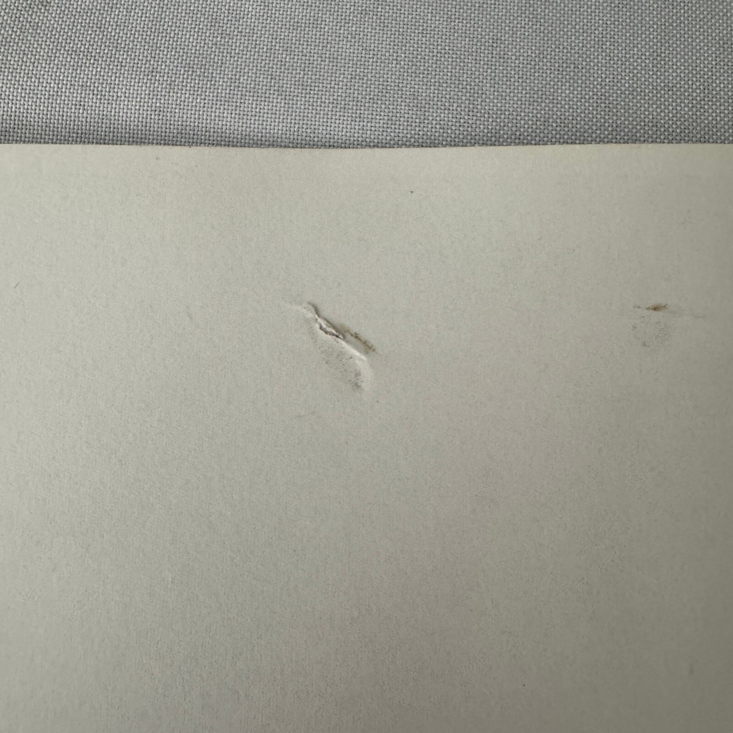 Vintage Movie Still Photo Photograph Deep in my Heart Gene Kelly Debbie Reynolds