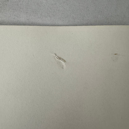 Vintage Movie Still Photo Photograph Deep in my Heart Gene Kelly Debbie Reynolds