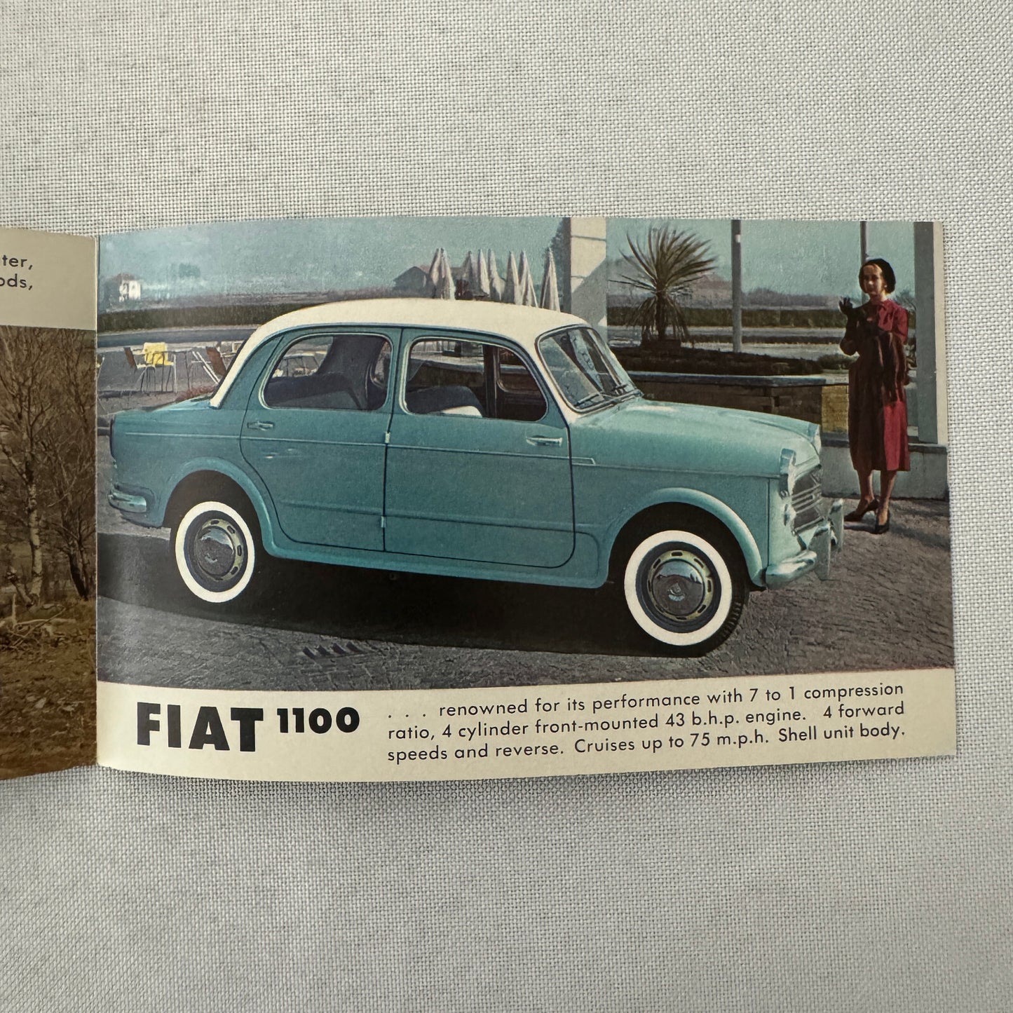 Fiat Car Sales Brochure Catalog Fiat 600 1200 Roadster 600 Multipla 1100 Canada