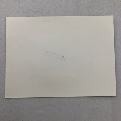 1980 Transafrica Rally Rallye Photo Photograph DPPI Land Rover Range Rover