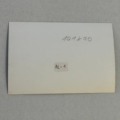 Custom Volkswagen Beetle Tuner Car Photo Photograph Print VW Bug