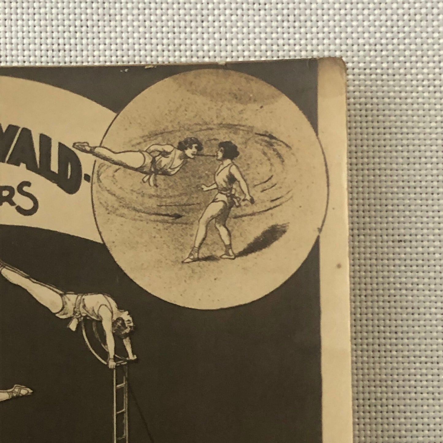 Circus Performer Postcard Post Card Acrobat Act 5 Meerwald Sisters