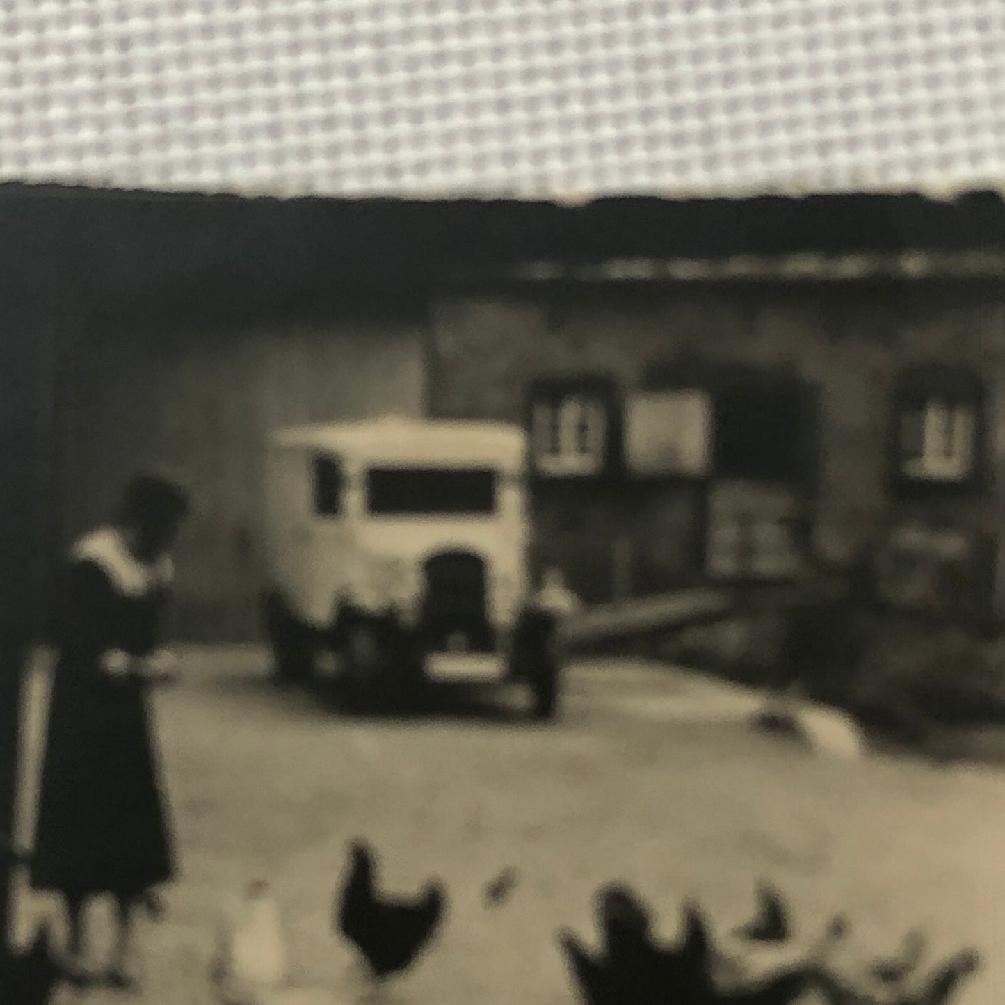 Vintage Photo Photograph Lot People with Anique Car Chickens Automobile AL22SM1