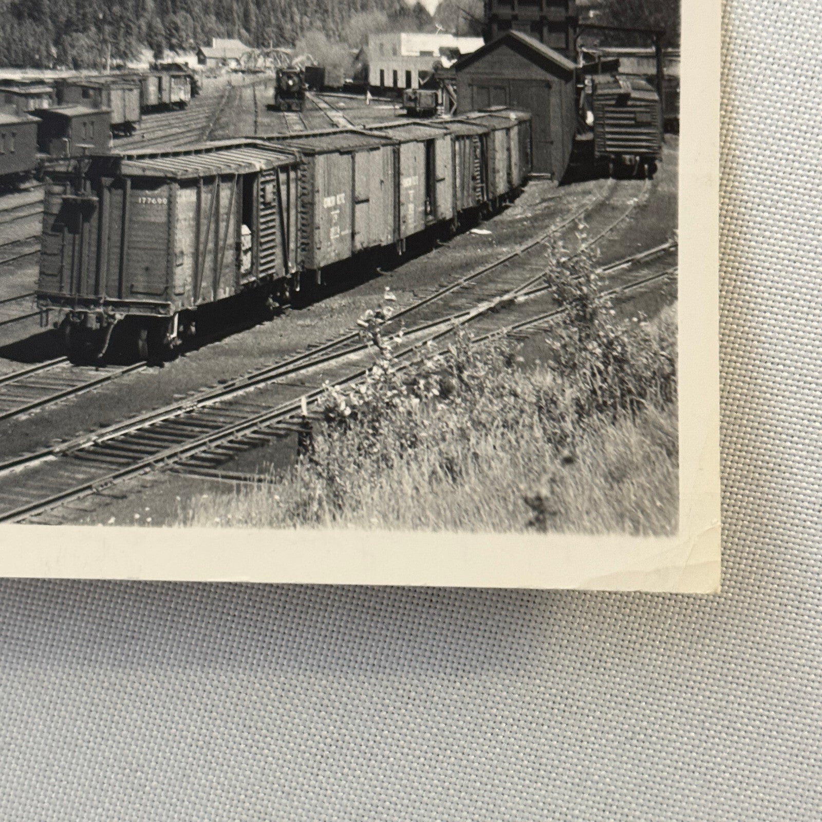 Vintage Train Railway Rail Photo Photograph CPR Yard Field British Columbia BC