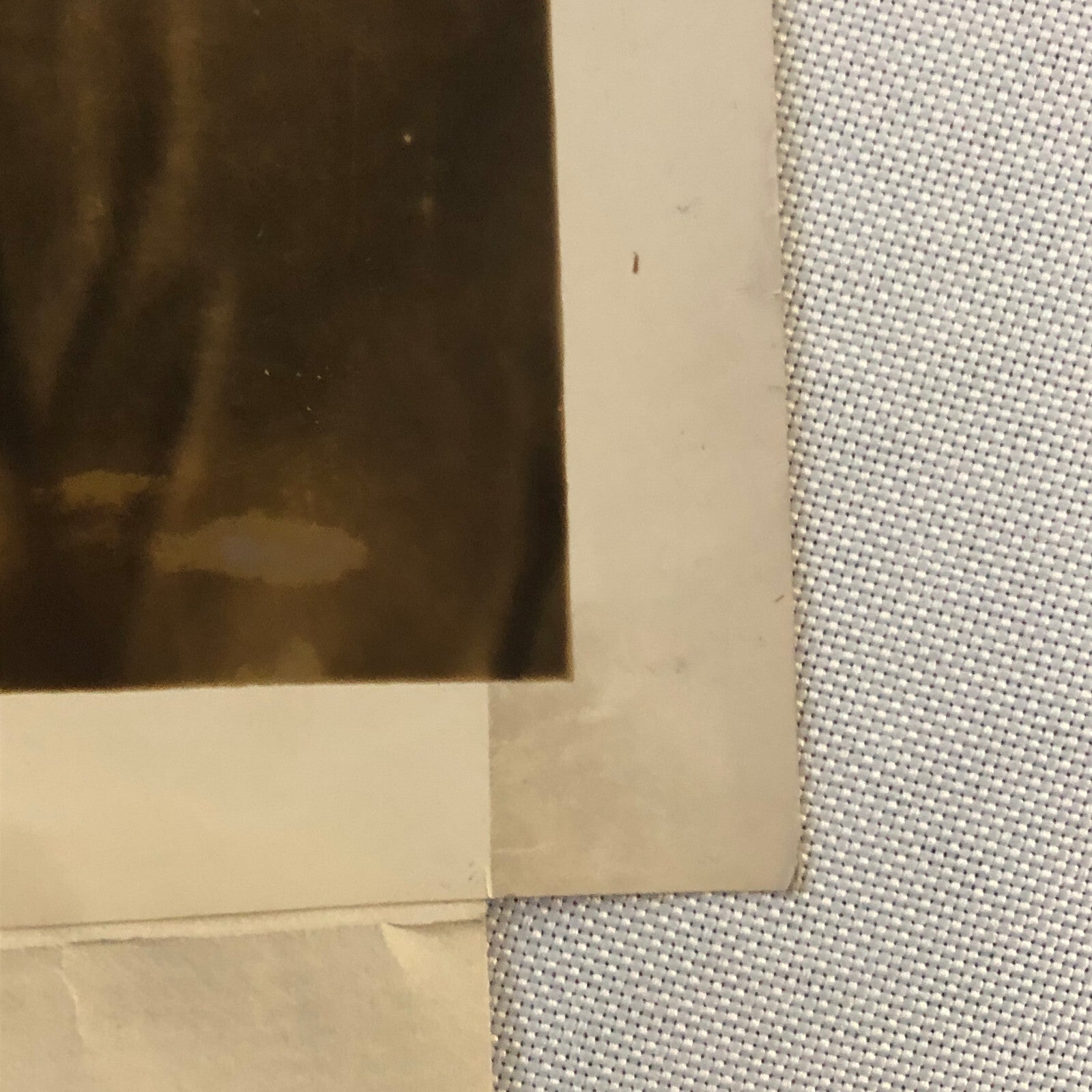 Press Photograph Photo Florence Harriman United States Diplomat 1934