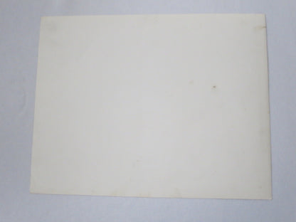 Vintage Small Airplane Photo Photograph Image Cessna 172