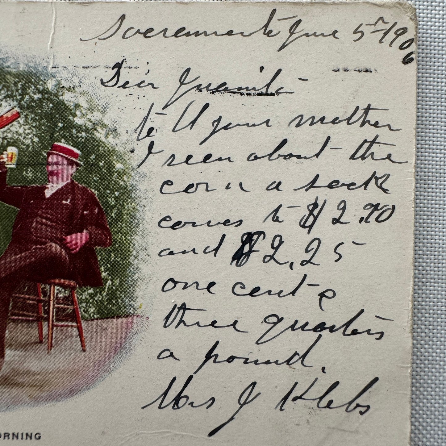 Vintage Postcard Man and Horse Drinking Beer Posted Postmark 1905 1906