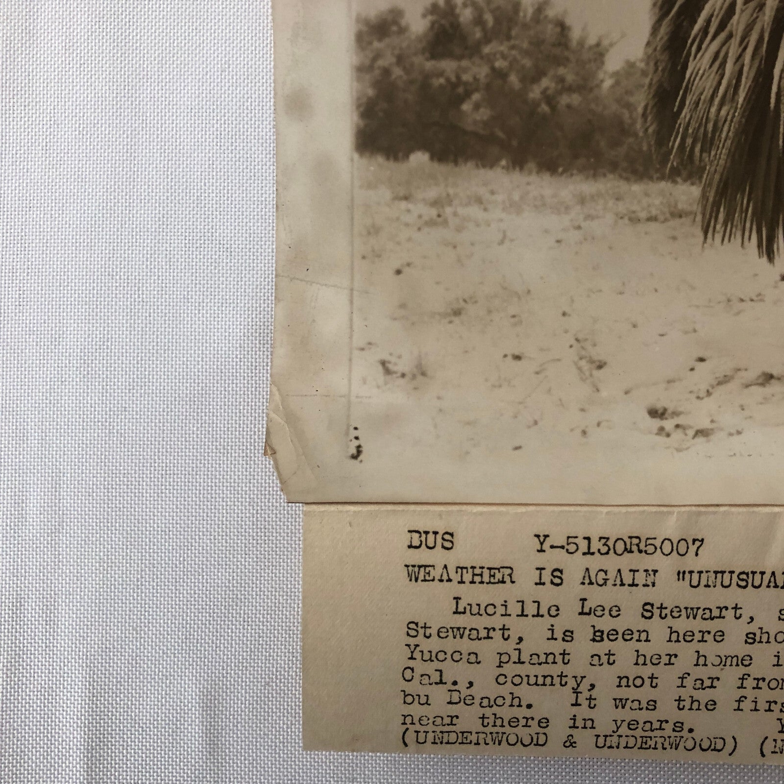 Press Photo Photograph Film Star Actress Lucille Lee Stewart Shovelling Snow