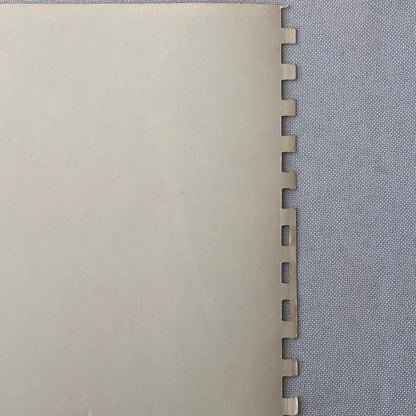 Vintage Renault Alpine Rally Racing Car Photo Photograph 1965 Routes du Nord 