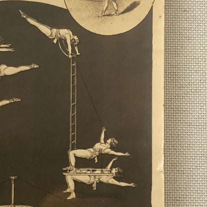 Circus Performer Postcard Post Card Acrobat Act 5 Meerwald Sisters