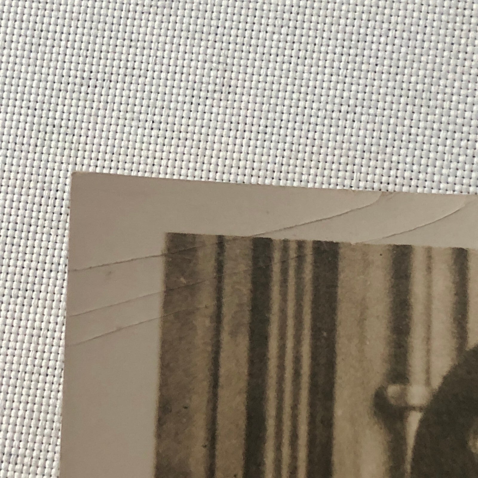 Press Photo Photograph Society Engagement Daugher of Pathologist 1933 Topical