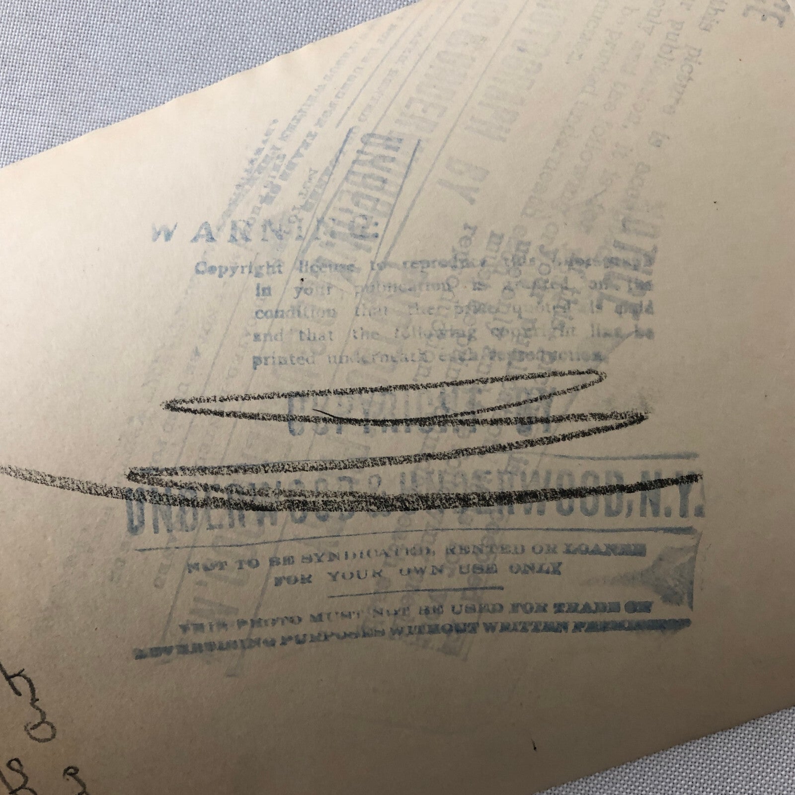 Press Photo Photograph Art Painting Collection Hayden Jules Pascin