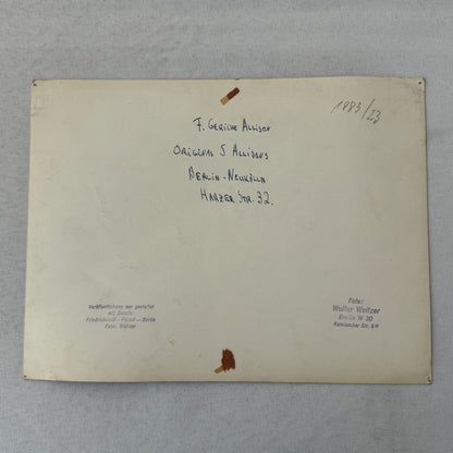 Vintage Circus Acrobat Tumbling Performer Act Photo Photograph Berlin 5 Allisons