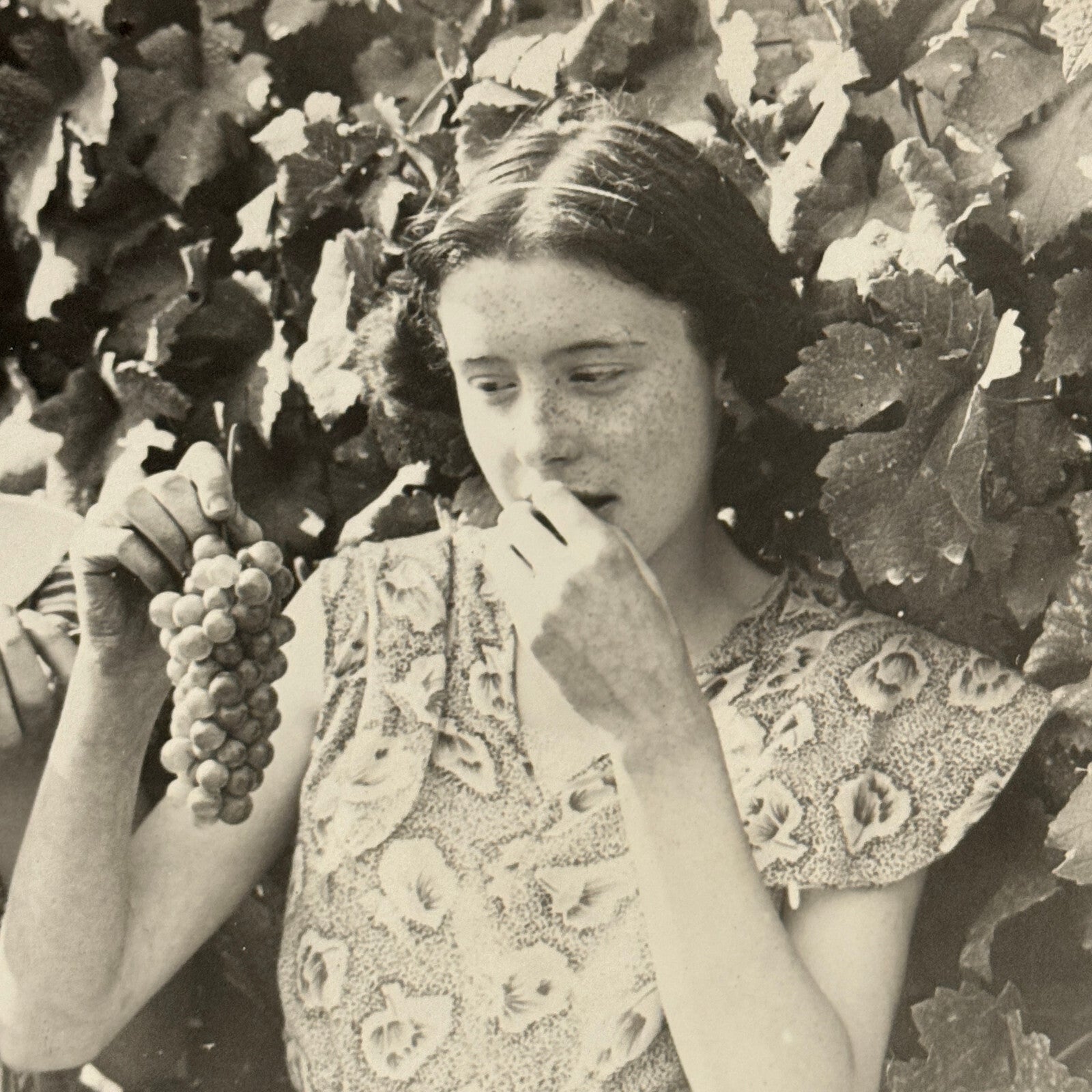 Paris Young Women with Grapes Kings Auction 1934 Press Photo Agence Trampus
