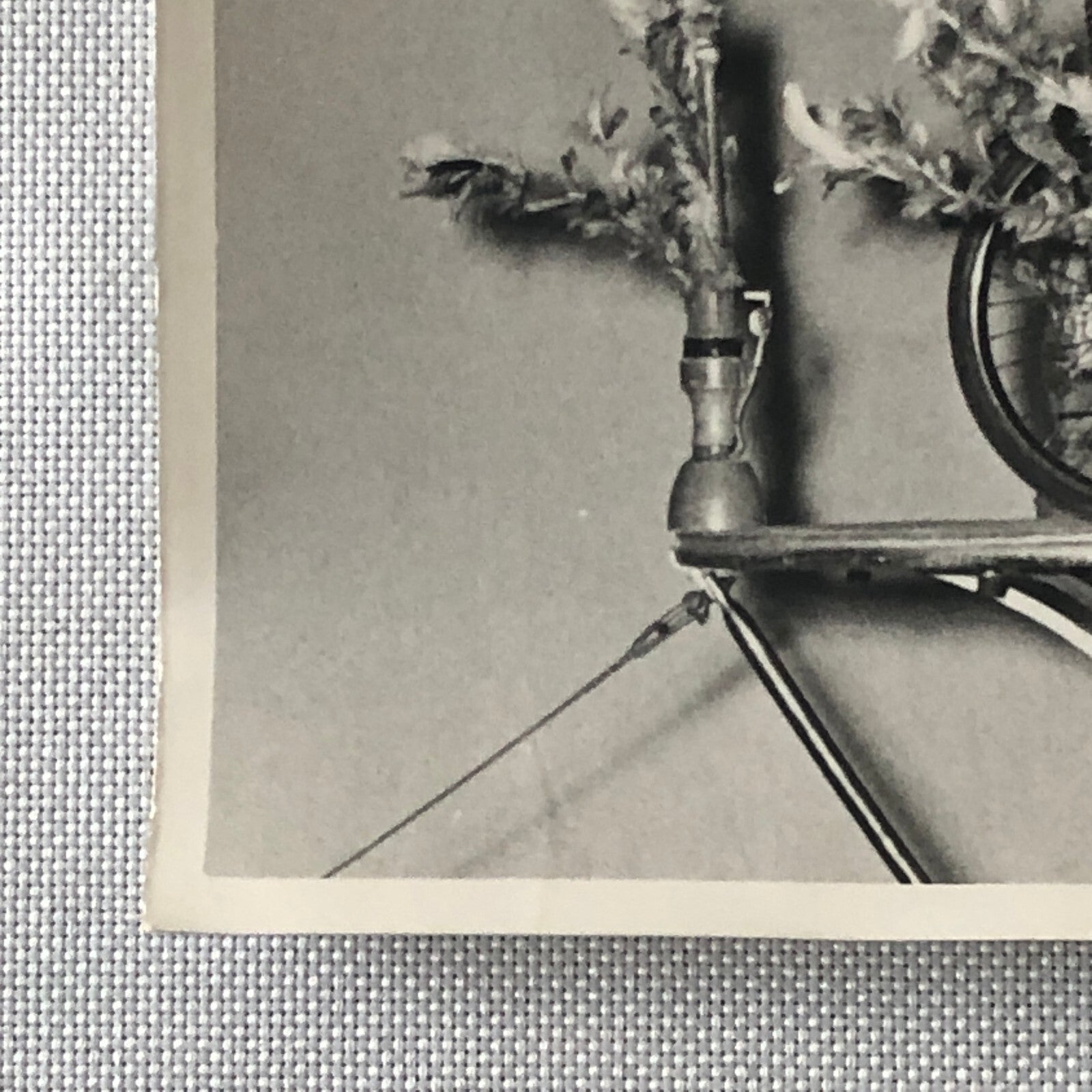 Circus Performer Women Unicycle Balancing Act Photo Photograph Original Jamino