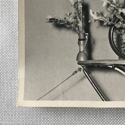 Circus Performer Women Unicycle Balancing Act Photo Photograph Original Jamino