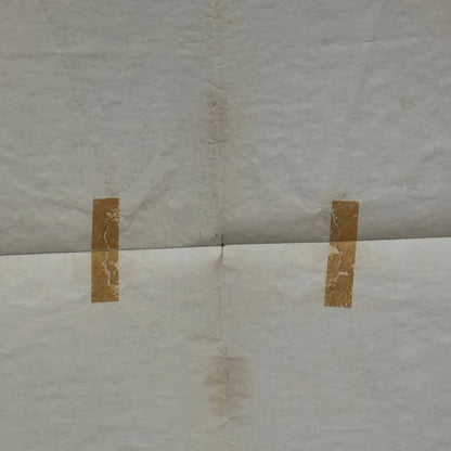 Vintage Disney Movie Poster $1,000,000 Duck Walt Disney Film Million Dollar Duck