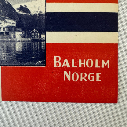 Vintage Hotel Travel Luggage Label Hotel Balholm Norway Norge Kviknes Hotel