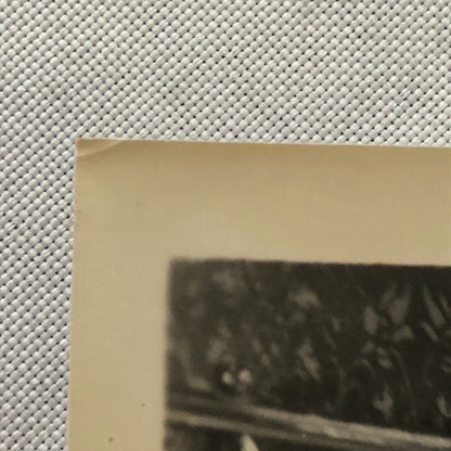 Vintage Movie Still Photo Photograph Print Dear Brigitte James Stewart 1965