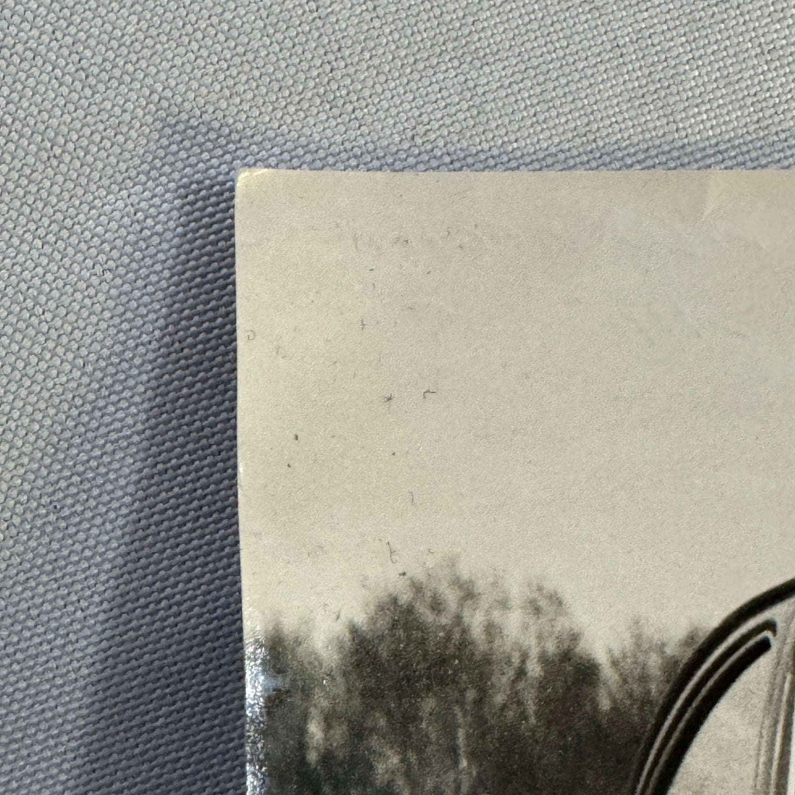 Vintage Volkswagen Beetle VW Bug Racing Photo Photograph Print