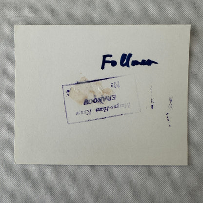 George Follmer Porsche 917/10 Racing Car Photo Photograph Print