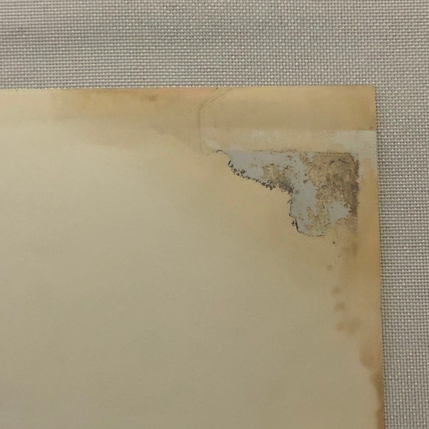 Vintage Horse Racing Photo Photograph TUROFSKY